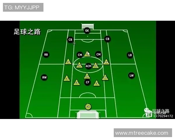 深圳排球队边路渗透战术解析与实战应用探讨