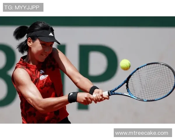 深度对话杨芳讲述她的网球人生与奋斗历程的背后故事